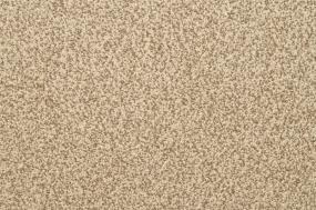 Casual Texture Mesa Beige/Tan Carpet
