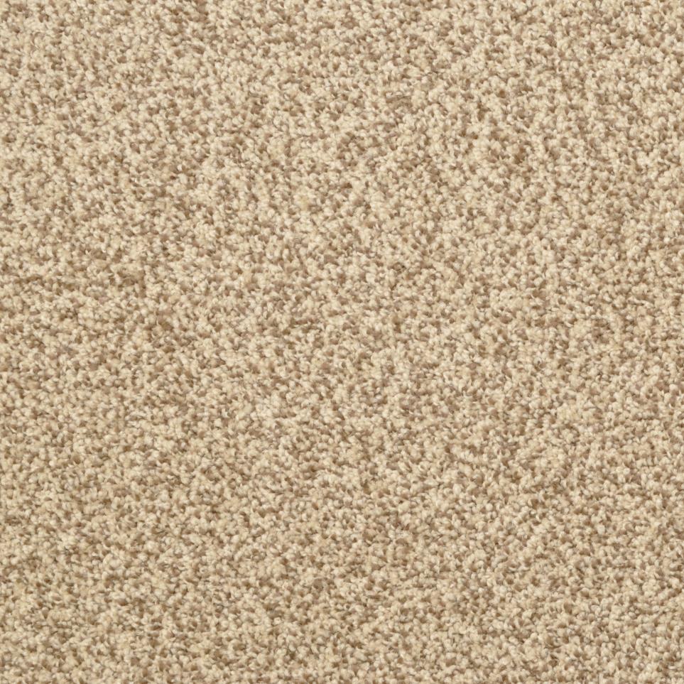 Casual Texture Mesa Beige/Tan Carpet