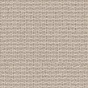 Pattern Classic Buff Beige/Tan Carpet