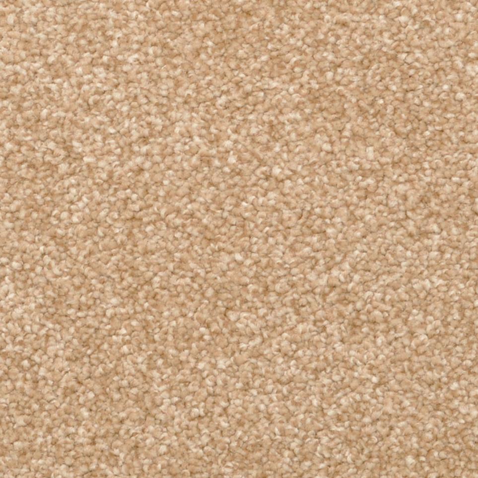 Frieze Taffy Brown Carpet