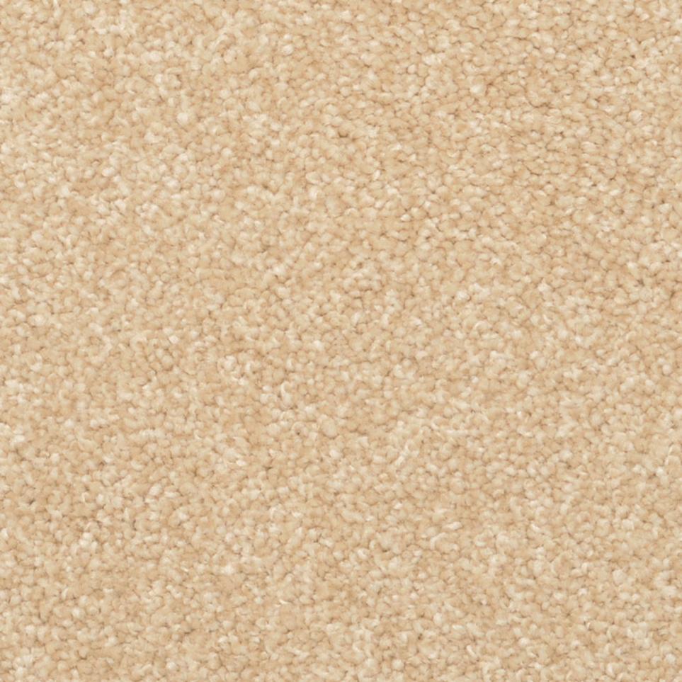 Frieze Suede Beige/Tan Carpet
