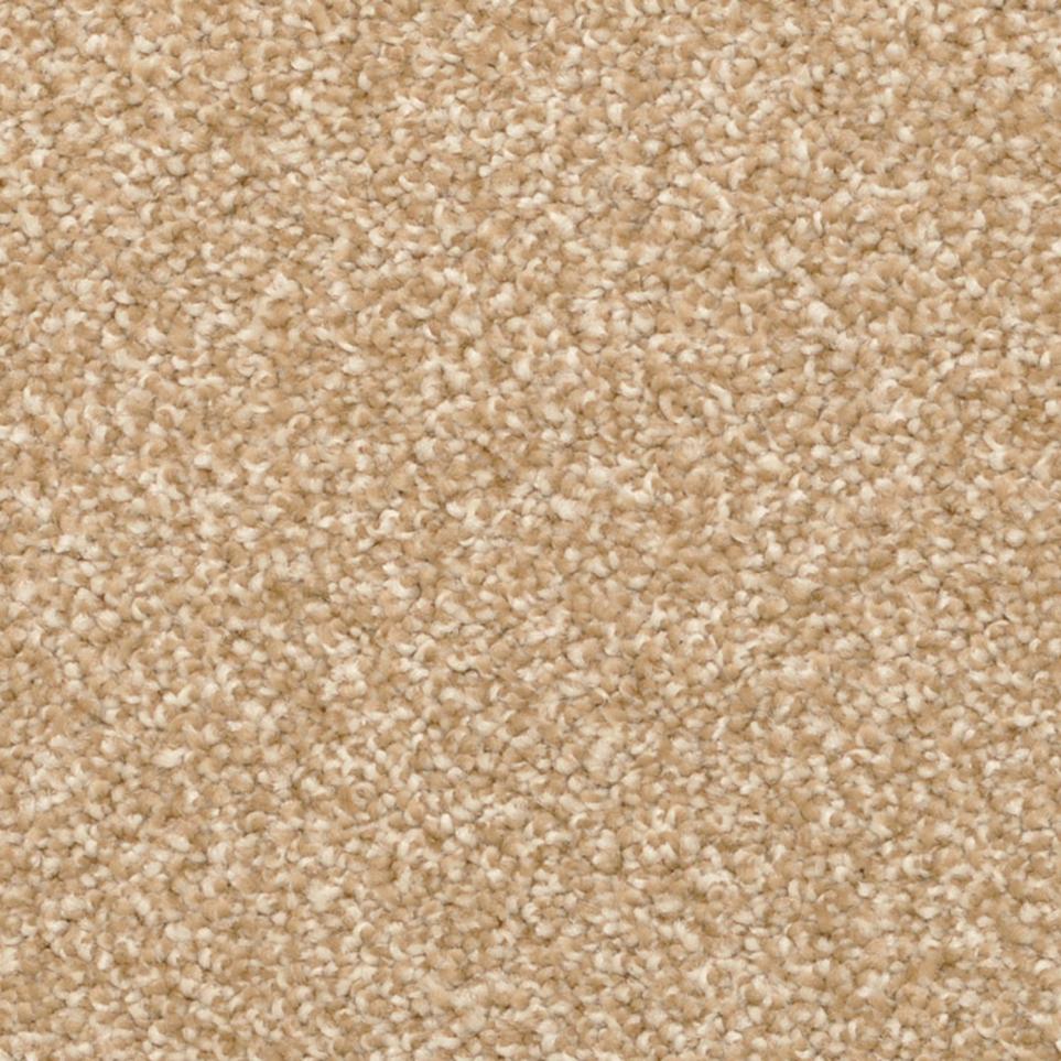 Frieze Cameo Brown Carpet