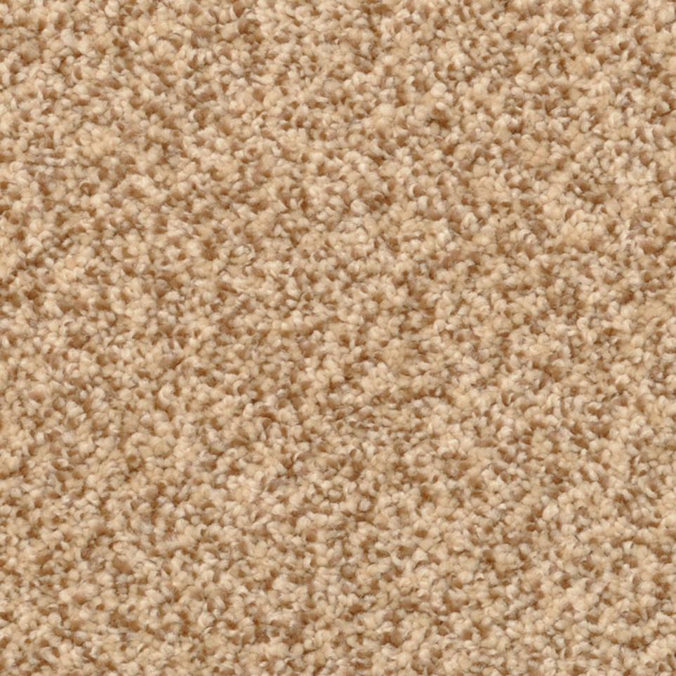 Frieze Mesa Beige/Tan Carpet