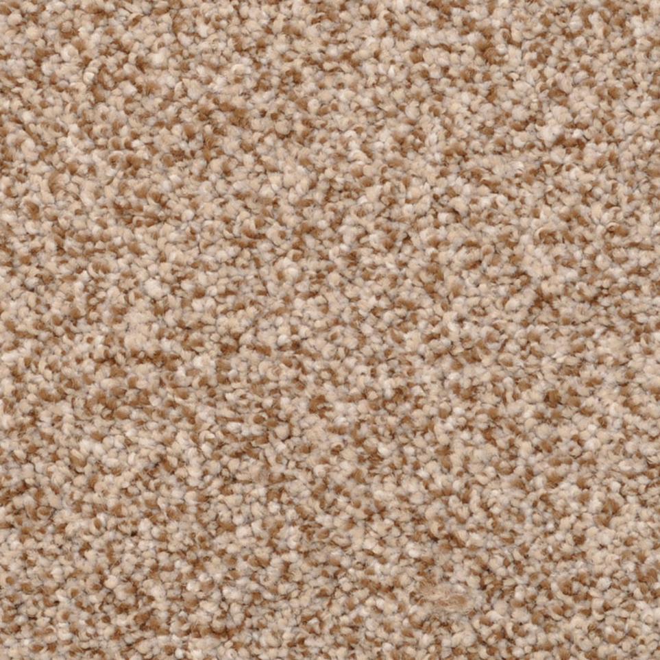Frieze Dorion Tweed  Carpet