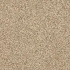 Casual Texture Basin Beige/Tan Carpet