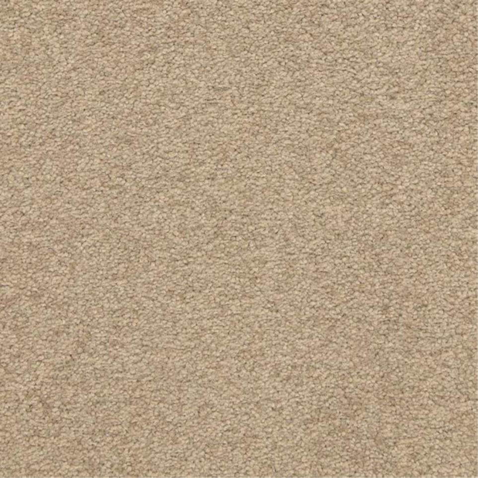 Casual Texture Basin Beige/Tan Carpet