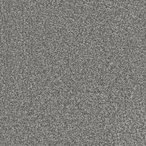 Texture Advocate Gray Carpet