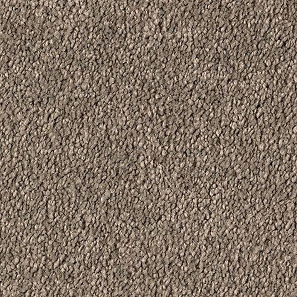 Textured Saxony Highgate Brown Carpet