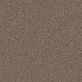 Texture Terracotta Brown Carpet