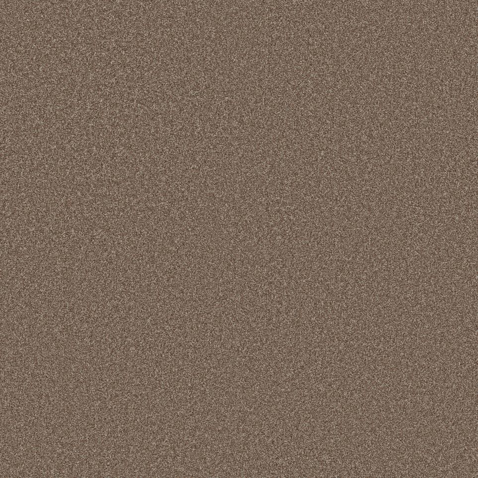 Texture Terracotta Brown Carpet