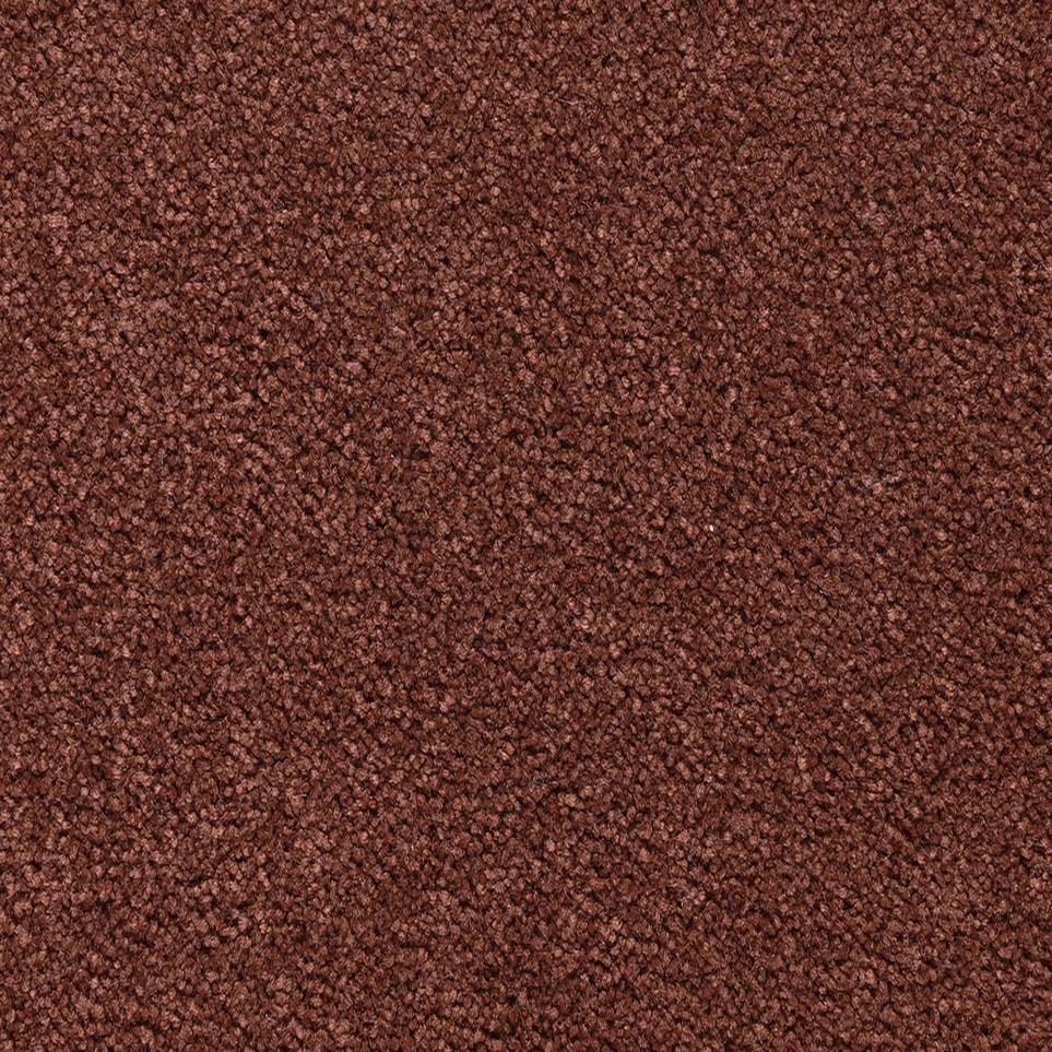 Textured Saxony Country Twill Brown Carpet