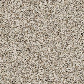 Textured Saxony Sugar Dust Beige/Tan Carpet