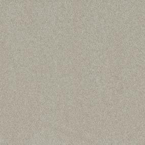 Textured Saxony Plaster Beige/Tan Carpet