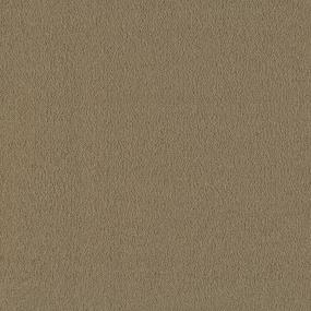 Textured Saxony Desert Villa Beige/Tan Carpet