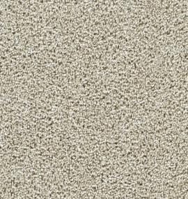 Textured Saxony Notable Beige/Tan Carpet