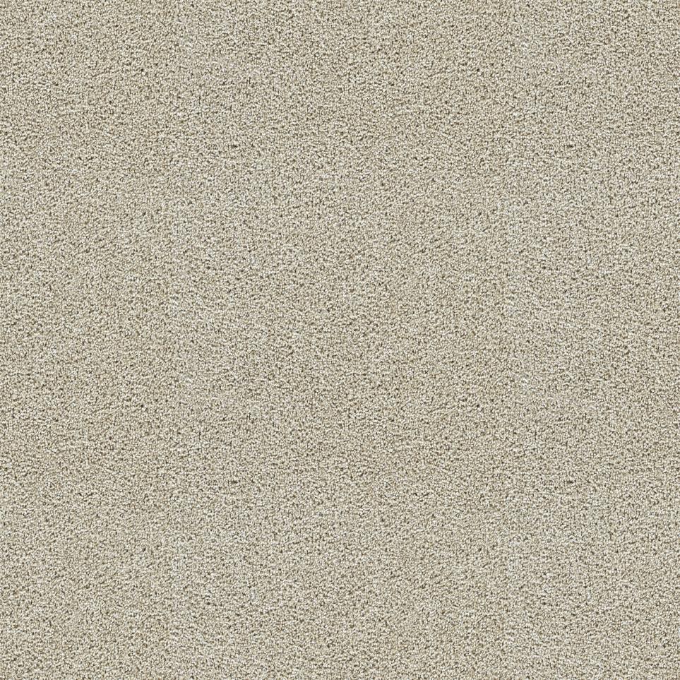 Textured Saxony Notable Beige/Tan Carpet