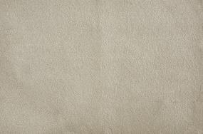 Plush Cord Beige/Tan Carpet