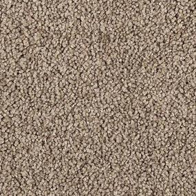 Texture INDIAN RIVER Beige/Tan Carpet