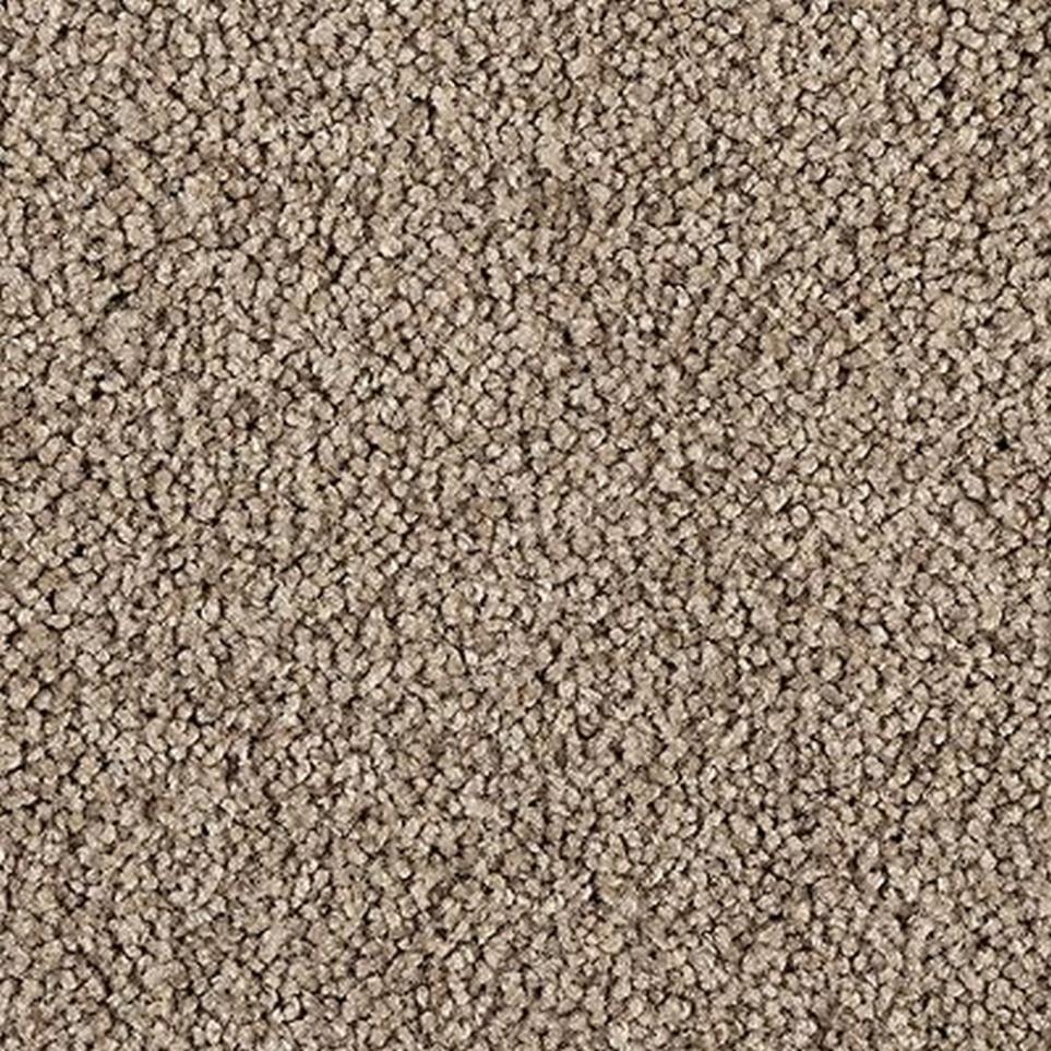 Texture INDIAN RIVER Beige/Tan Carpet