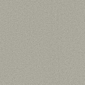 Cut Pile Engaging Beige/Tan Carpet