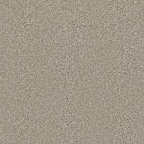 Textured Saxony Detailed Finish Beige/Tan Carpet