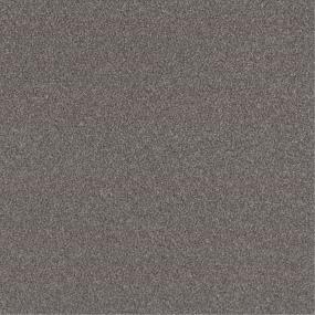 Casual Texture Steel Cage Brown Carpet