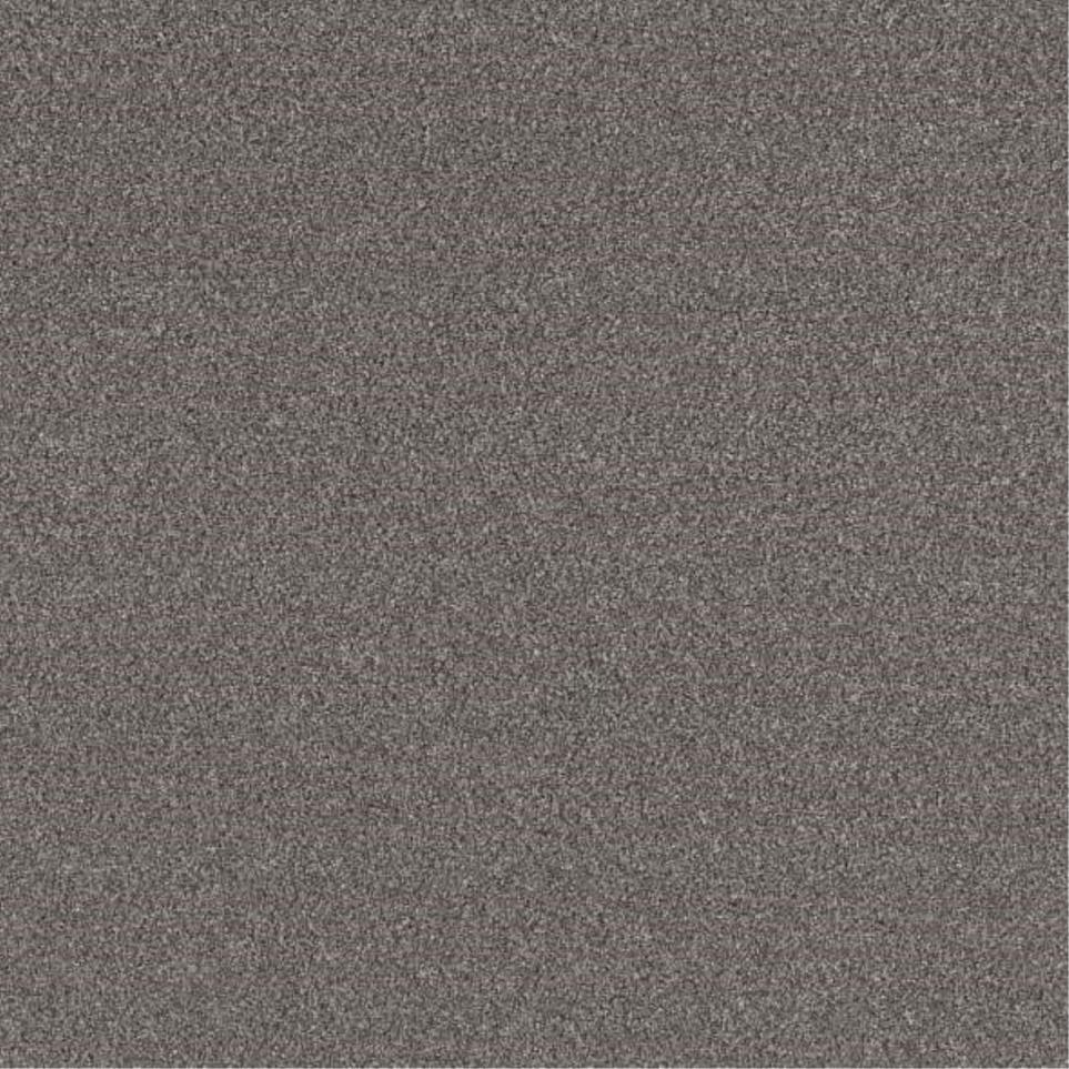 Casual Texture Steel Cage Brown Carpet