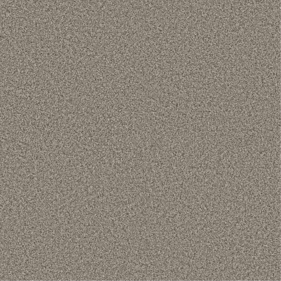 Plush Saxony Neutral Ground Beige/Tan Carpet