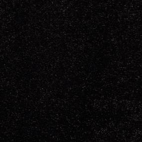 Casual Texture Black Bean Black Carpet