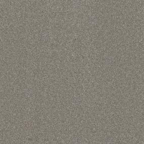 Texture Appeal Gray Carpet