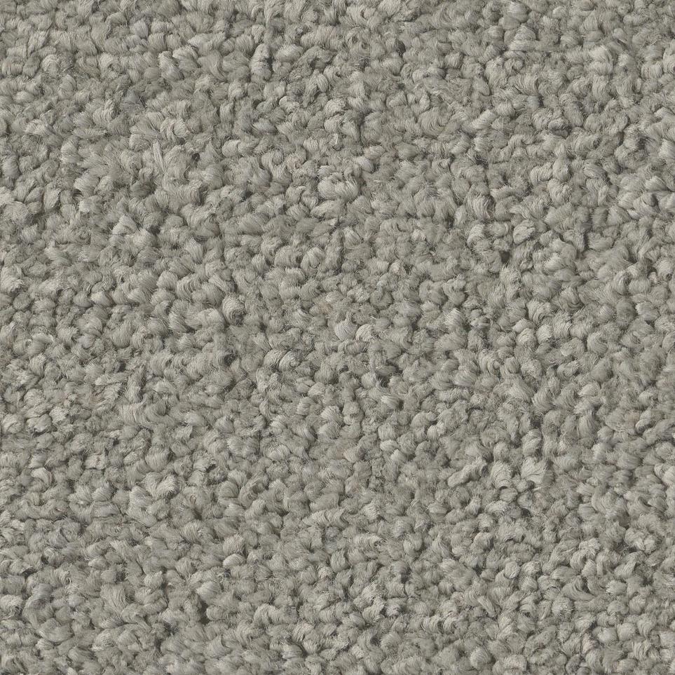 Casual Texture Herb Garden Gray Carpet