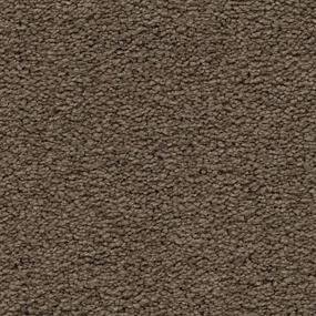 Textured Saxony Tapestry Brown Carpet