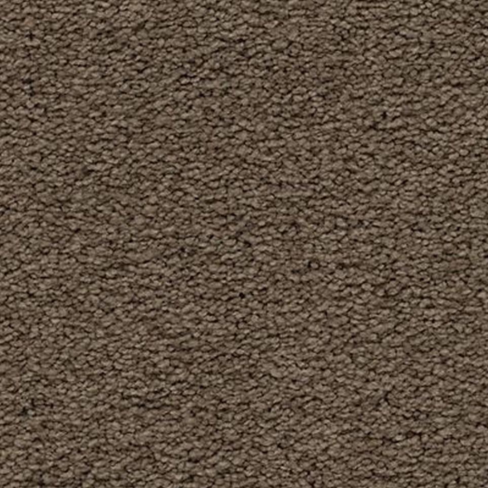 Textured Saxony Tapestry Brown Carpet