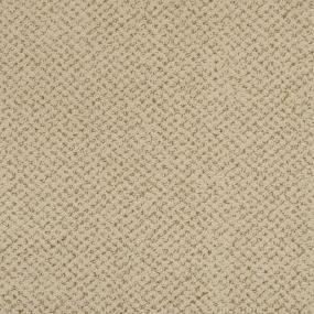 Pattern Hamlet Beige/Tan Carpet