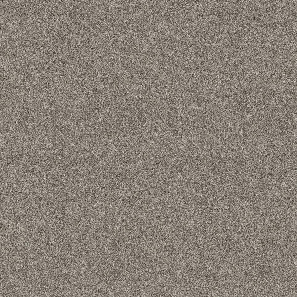 Texture Shadow Beige/Tan Carpet