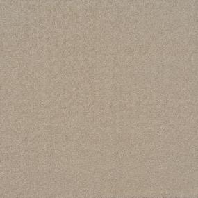 Casual Texture Suede Beige/Tan Carpet