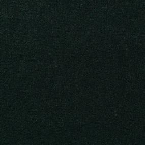 Cut Pile Mistletoe Black Carpet