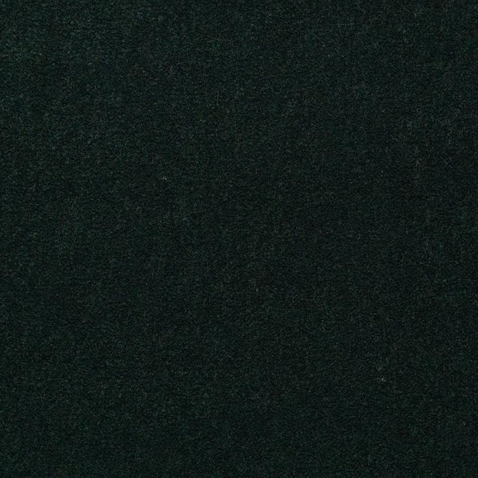 Cut Pile Mistletoe Black Carpet