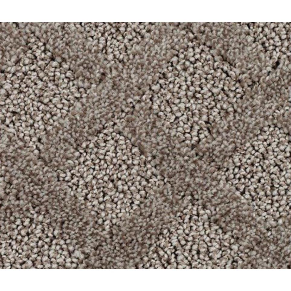 Pattern Natures Bounty Brown Carpet