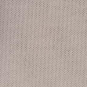 Loop Ceramic Beige/Tan Carpet