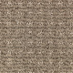 Pattern Pecan Beige/Tan Carpet