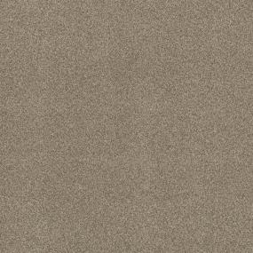 Casual Texture Earthy Beige/Tan Carpet