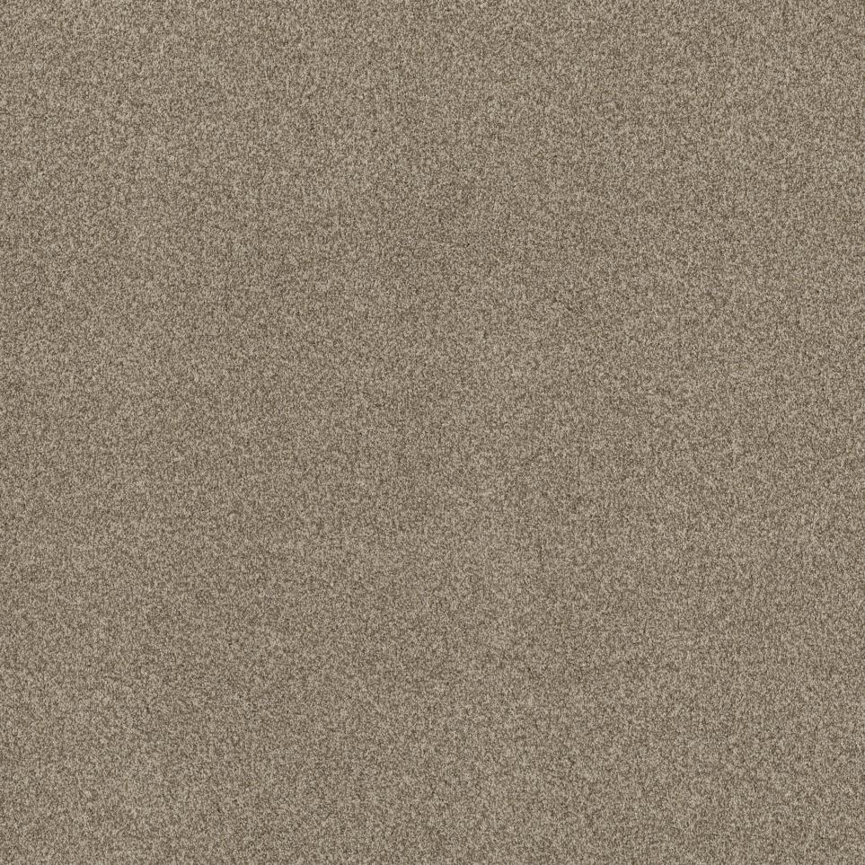 Casual Texture Earthy Beige/Tan Carpet