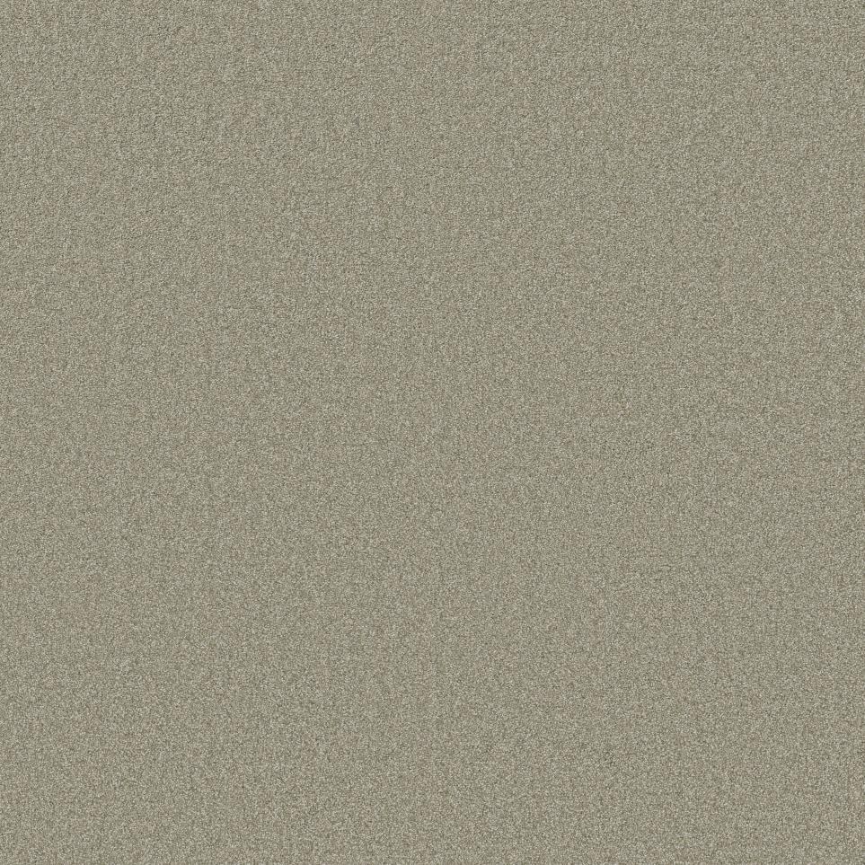 Textured Saxony Hedge Beige/Tan Carpet