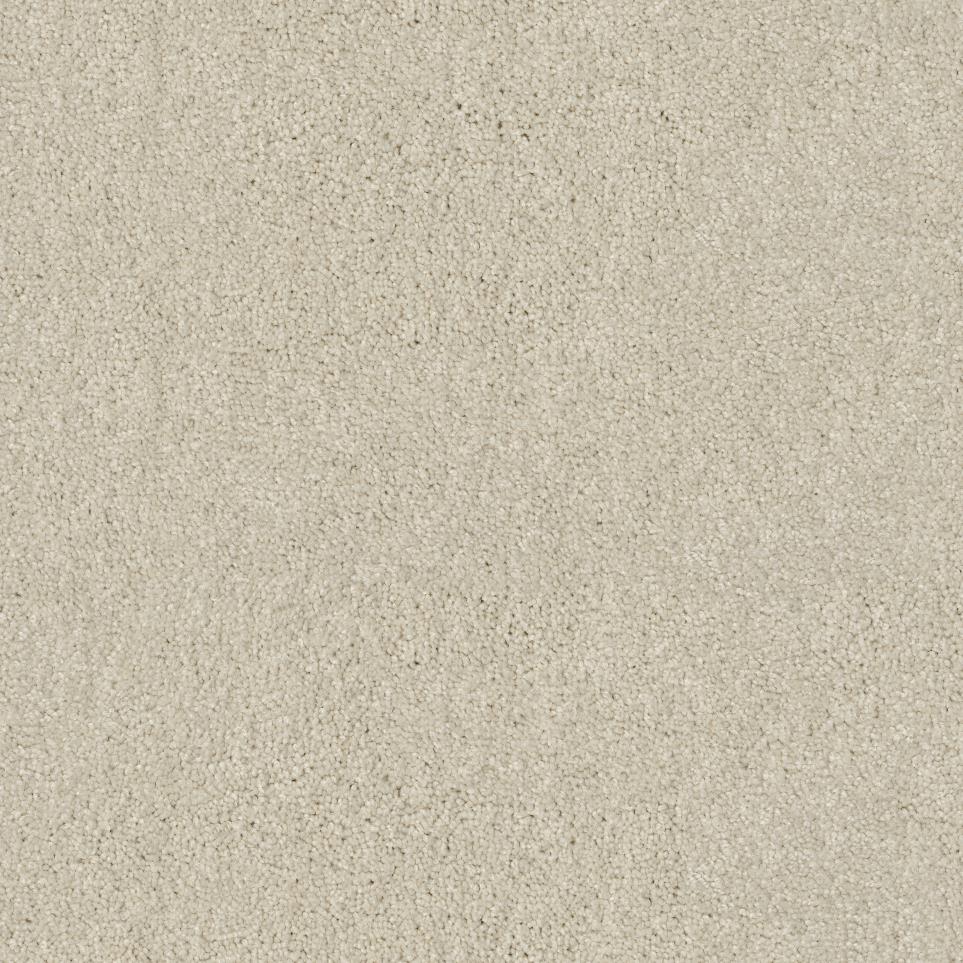 Plush Natural Beige/Tan Carpet