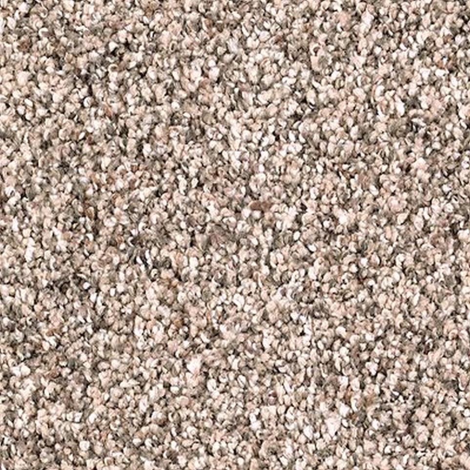 Berber Coastal Beige Beige/Tan Carpet
