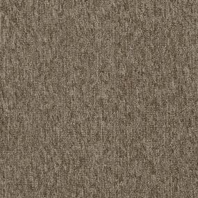 Loop Stately Manor Beige/Tan Carpet