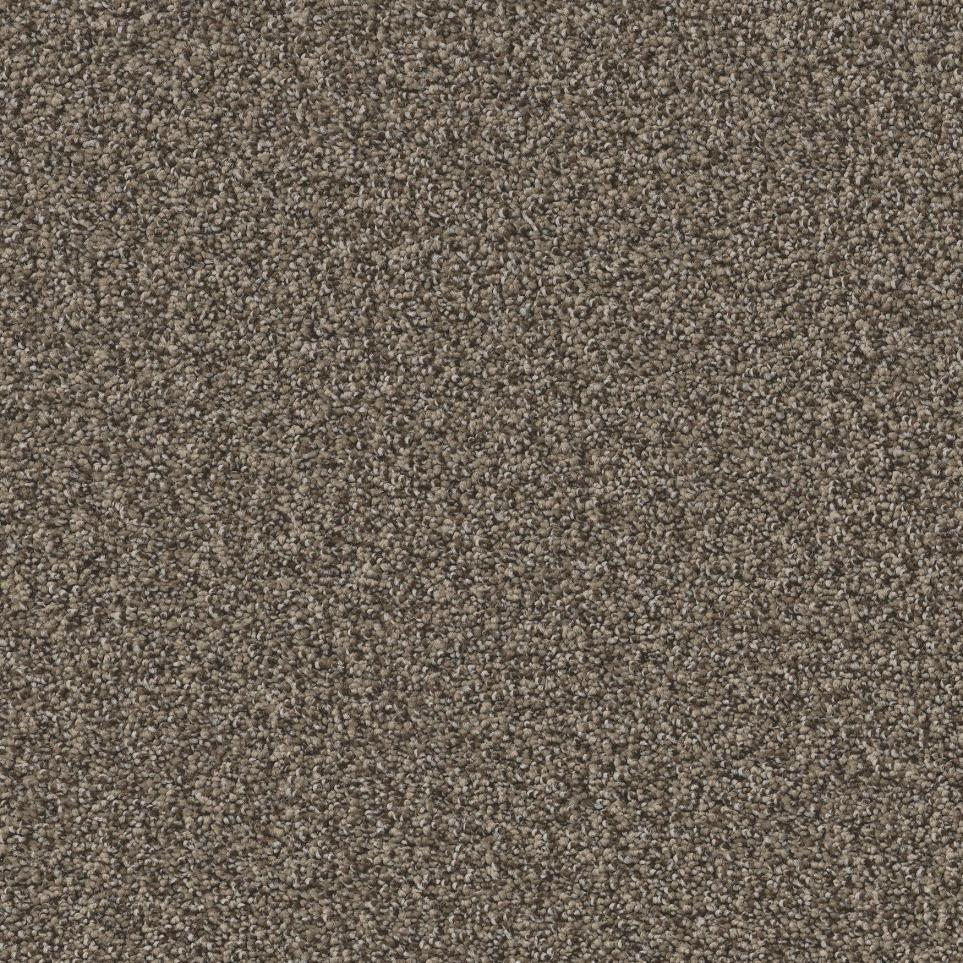 Texture Mink Brown Carpet