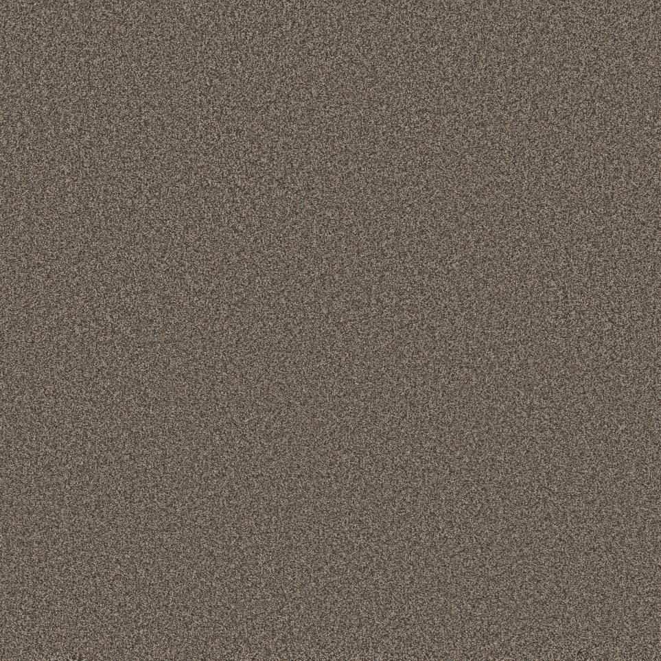 Texture Mink Brown Carpet