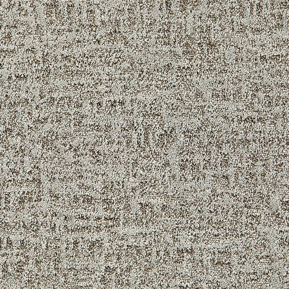 Pattern Exotic Sand Gray Carpet